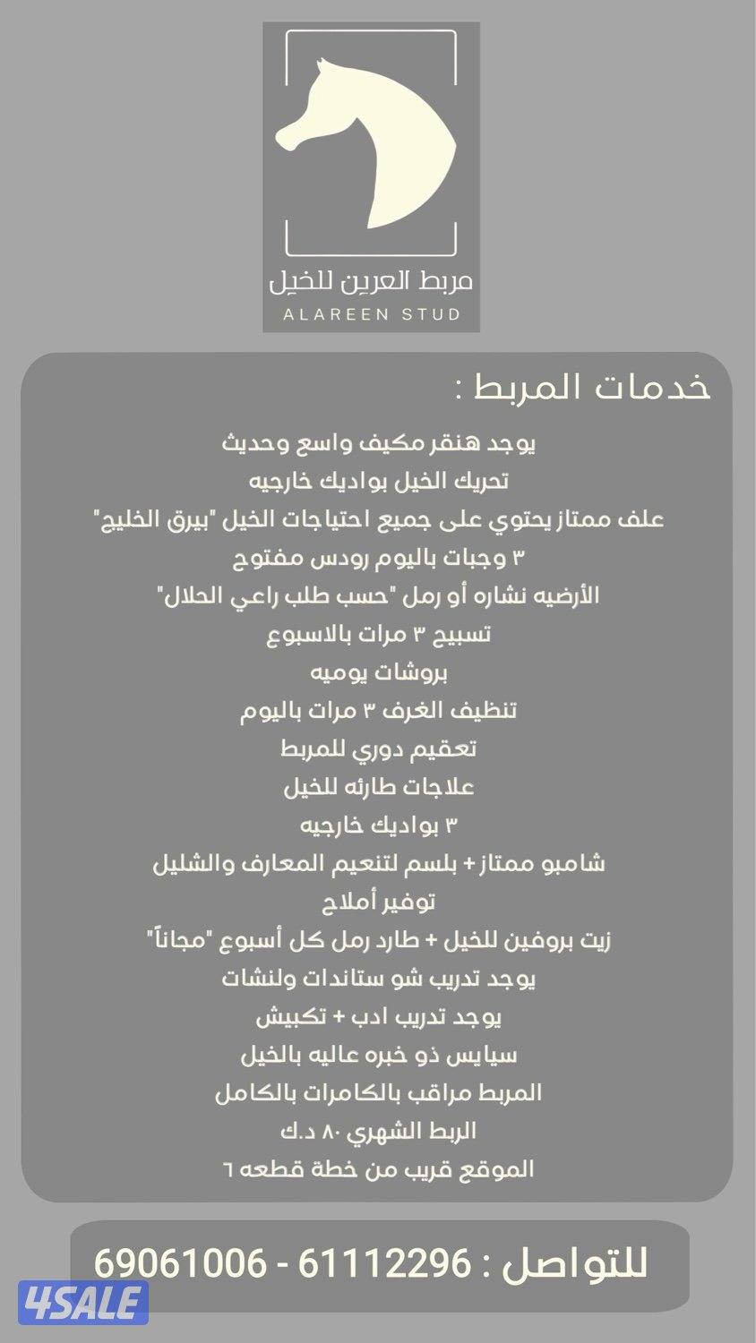 مربط العرين لإيواء الخيل وتعليم الركوب11