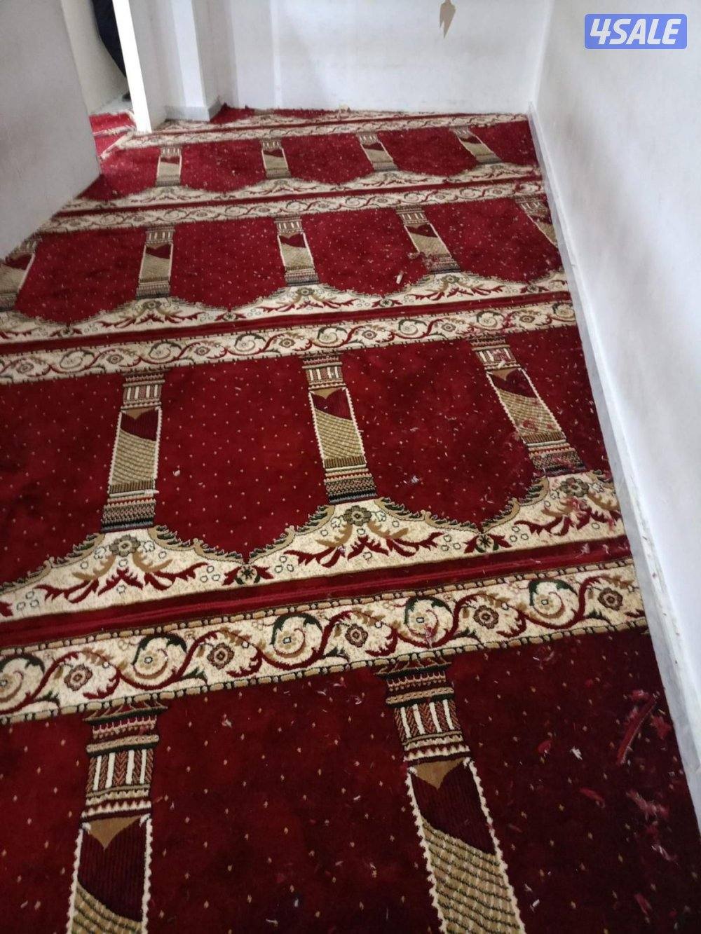 الضجيج مجمع غرلريا5