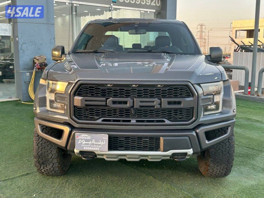 للبيع وانيت فورد رابتر1