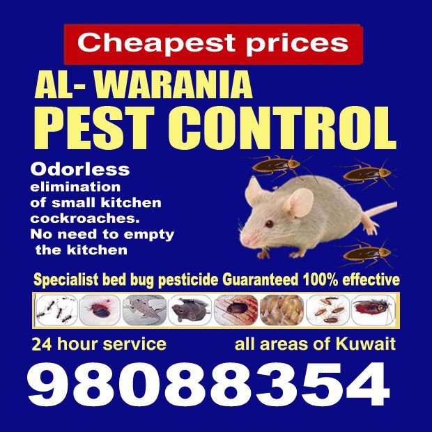 ابراهيم / مشترك بحث جديد0