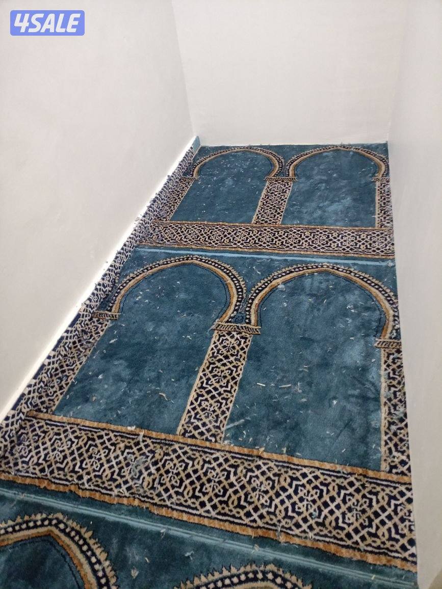 الضجيج مجمع غرلريا9