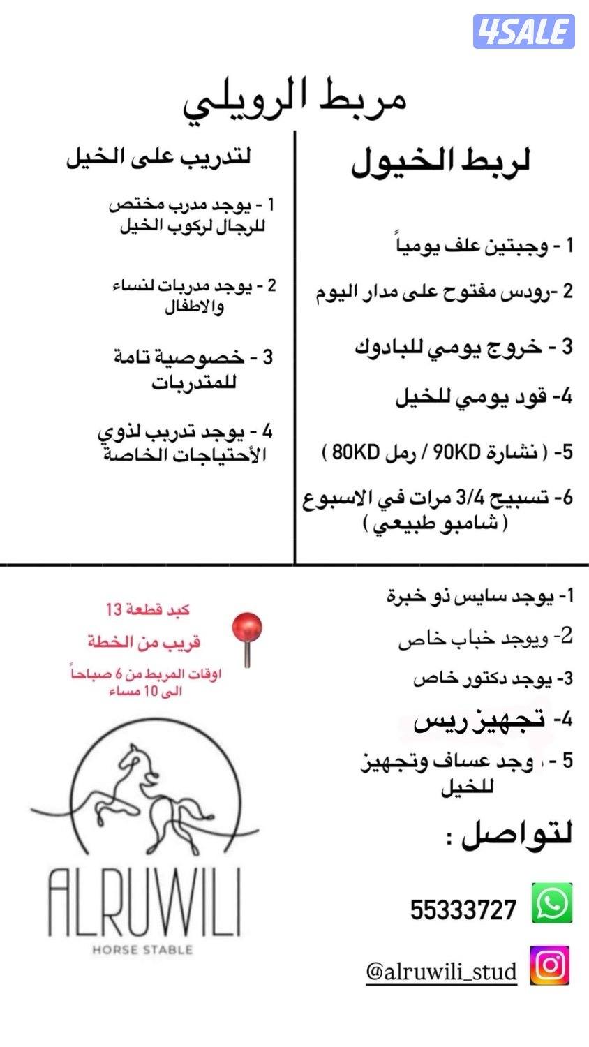 مربط الرويلي للايواء والتدريب 🐎♥️0