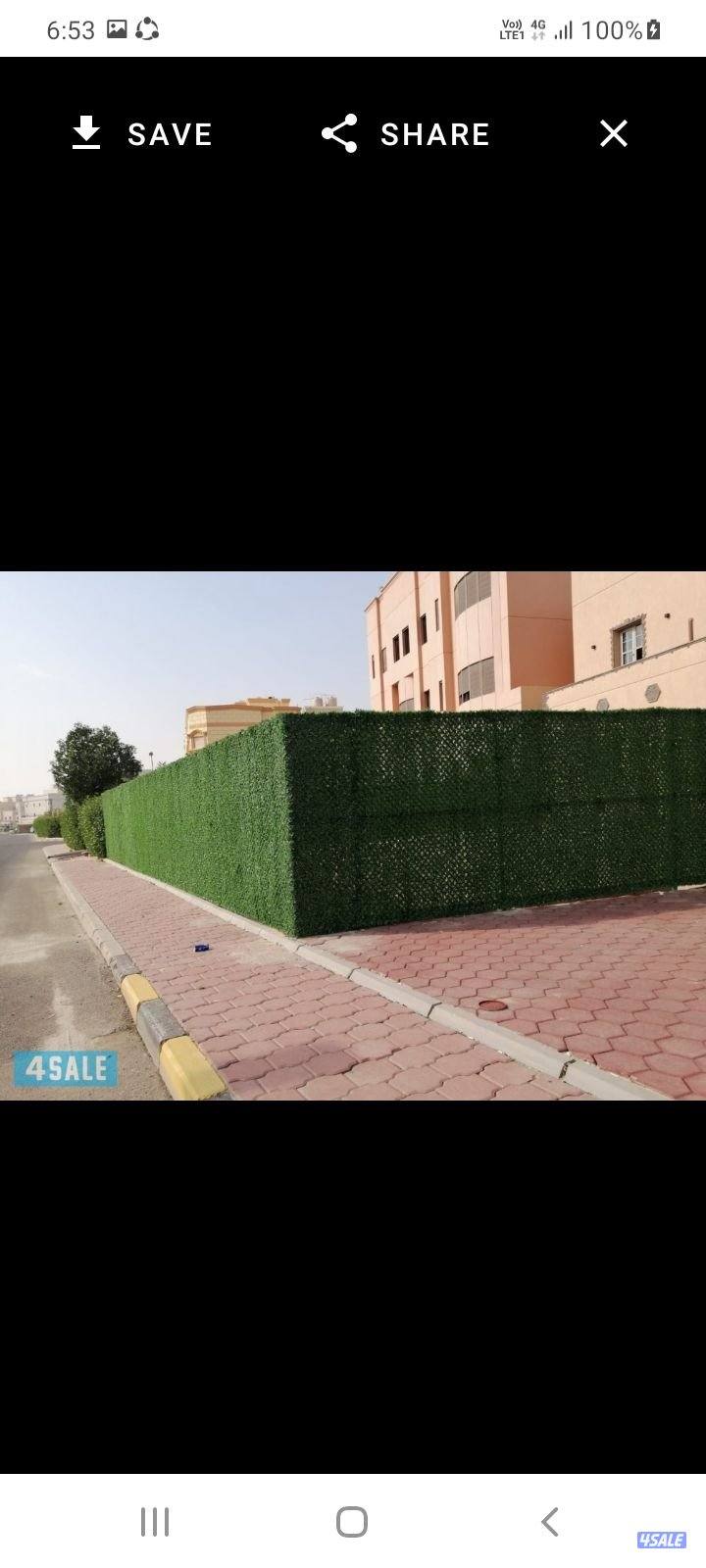 حداد  .سعمير.هندي9