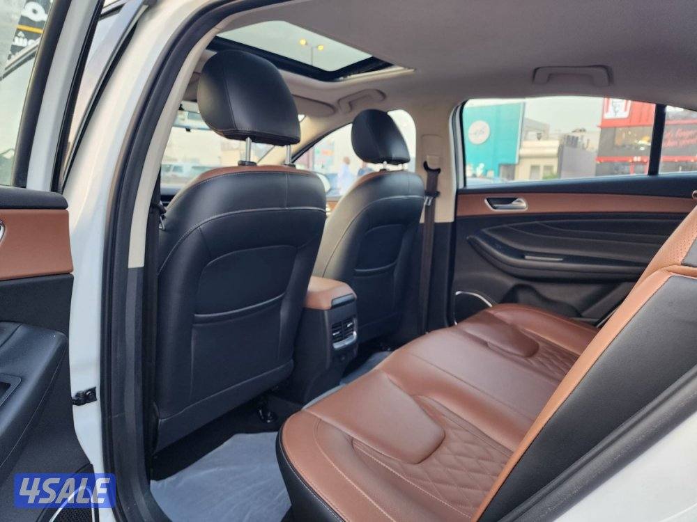 للبيع اريزو 6 2020 صبغ الوكالة الدرجة الأولى8