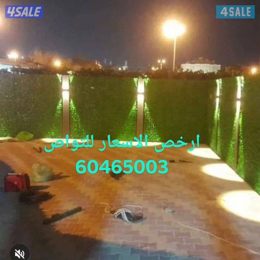تنسيق حدائق داخلي وخارجي ارخص الاسعار تنسيق حدائق 🍃ثيل طبيعي3