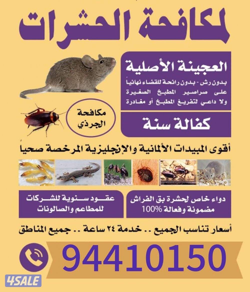 رش حشرات نمل وصراصير جميع مناطق الكويت كفاله سنه مع العجينه الألمانيه0