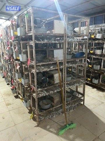 خانات حديد للبيع ام ٨ مستعمله1