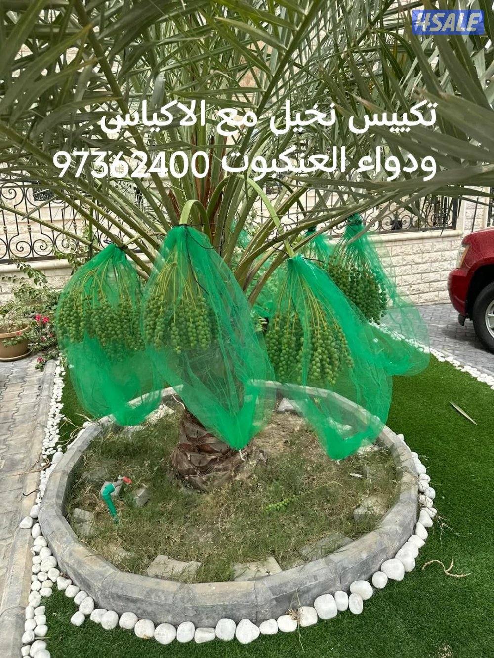 تنسيق حدائق1