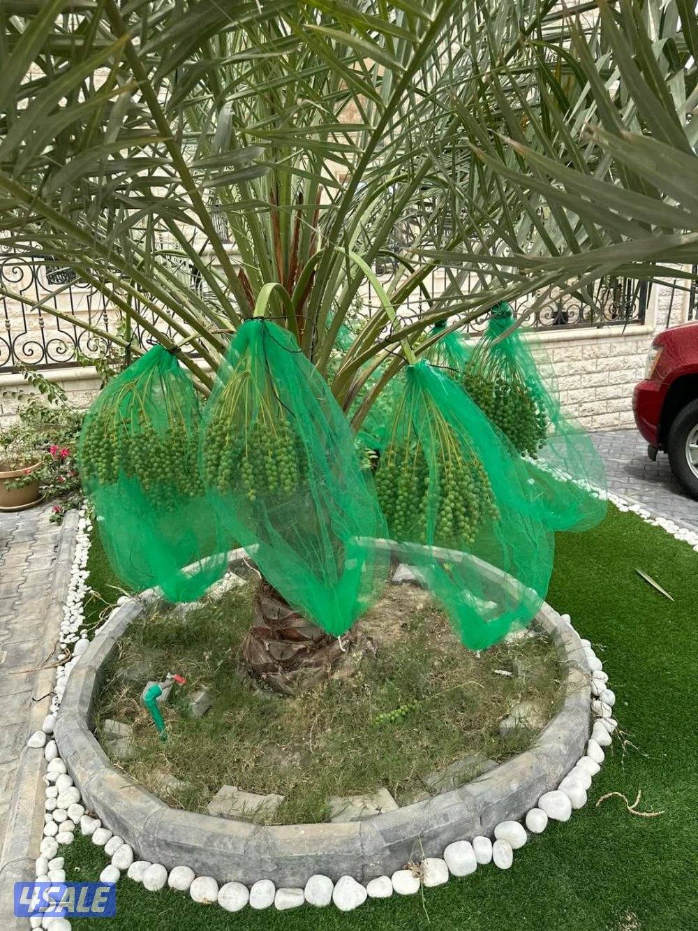 تنسيق حدائق3