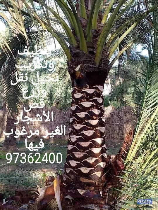 تنسيق حدائق0