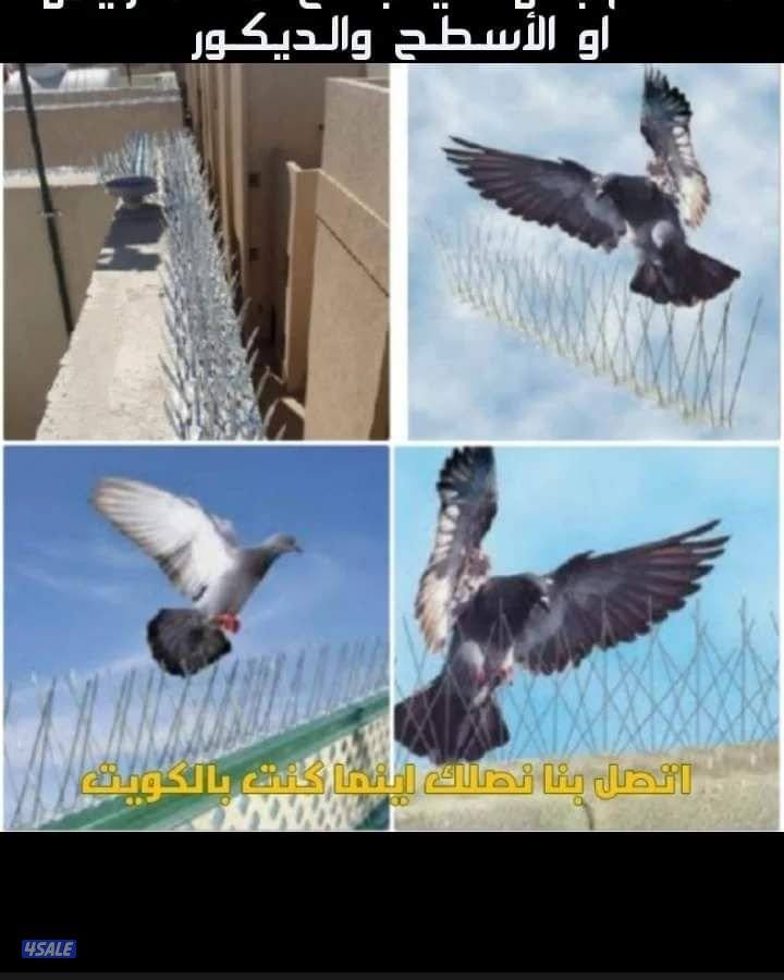 مكافحه حشرت والقورض خدمه 24ساعه1