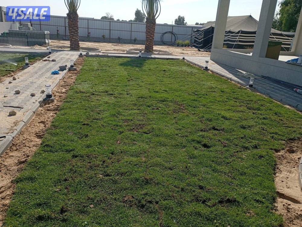 ابو حسين لتنسيق الحدائق الدخليه و الخارجيه9