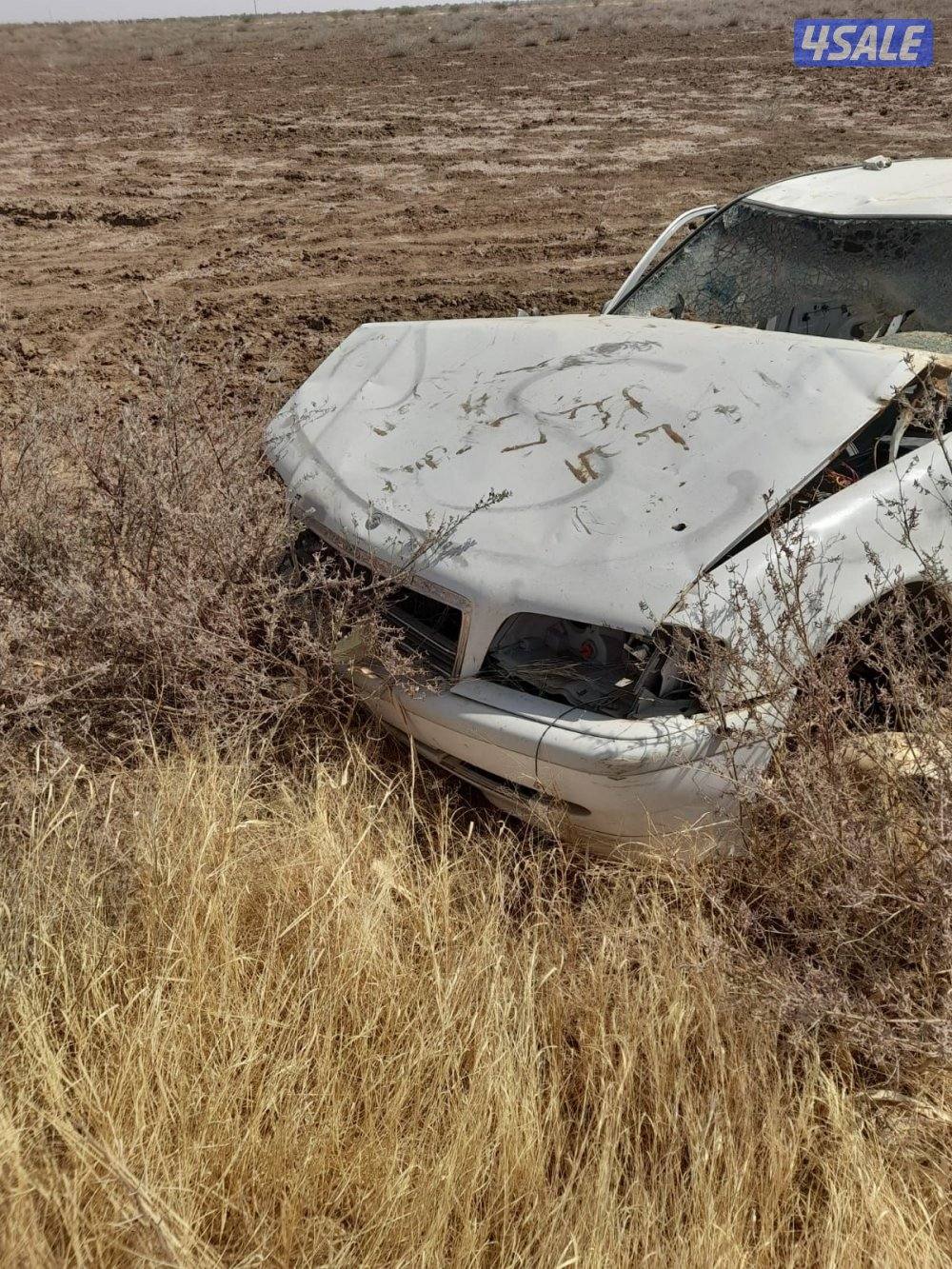 السالمي السكراب8