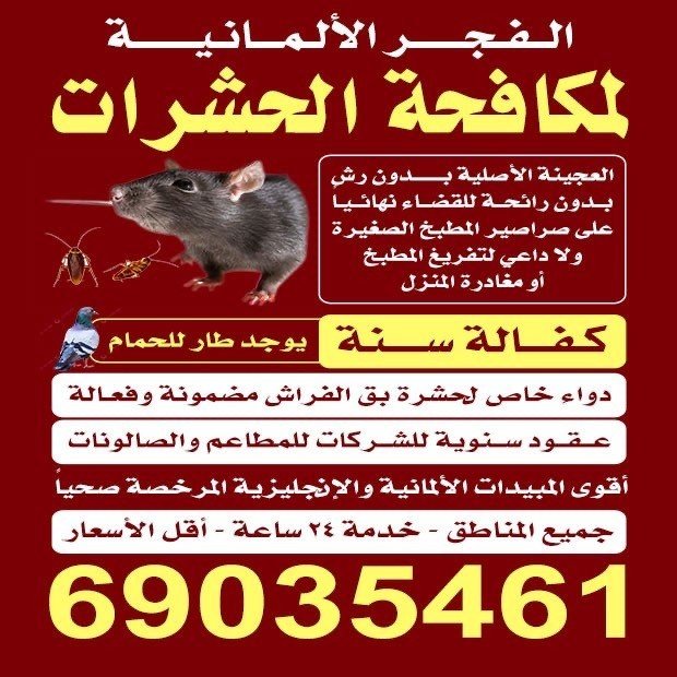 محمد / مشترك بحث جديد1