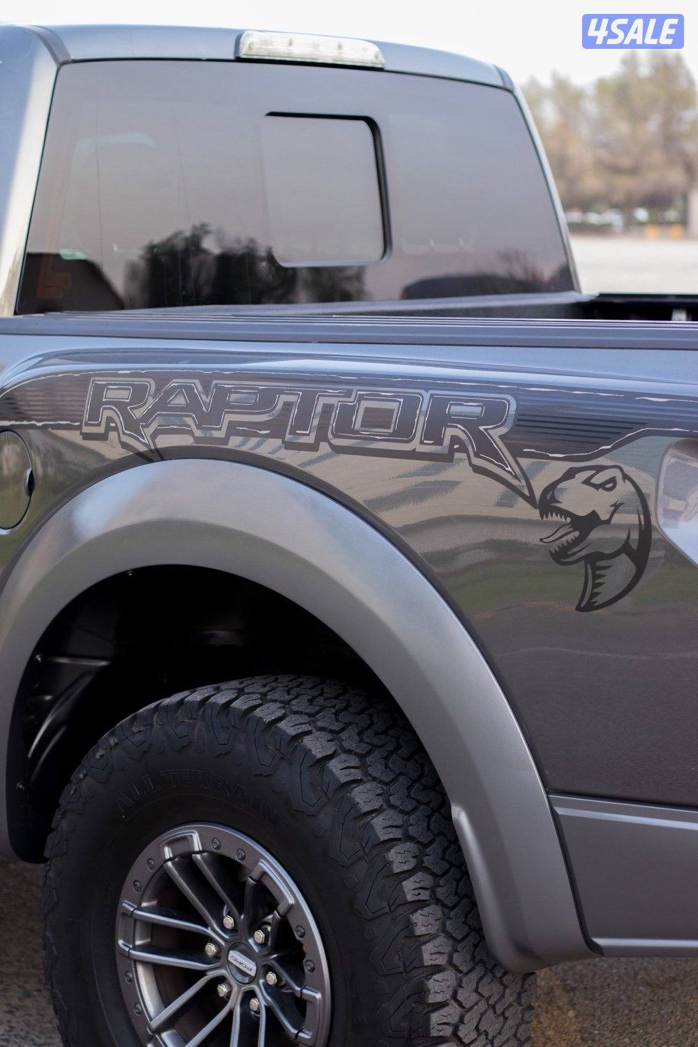 RAPTOR 20198