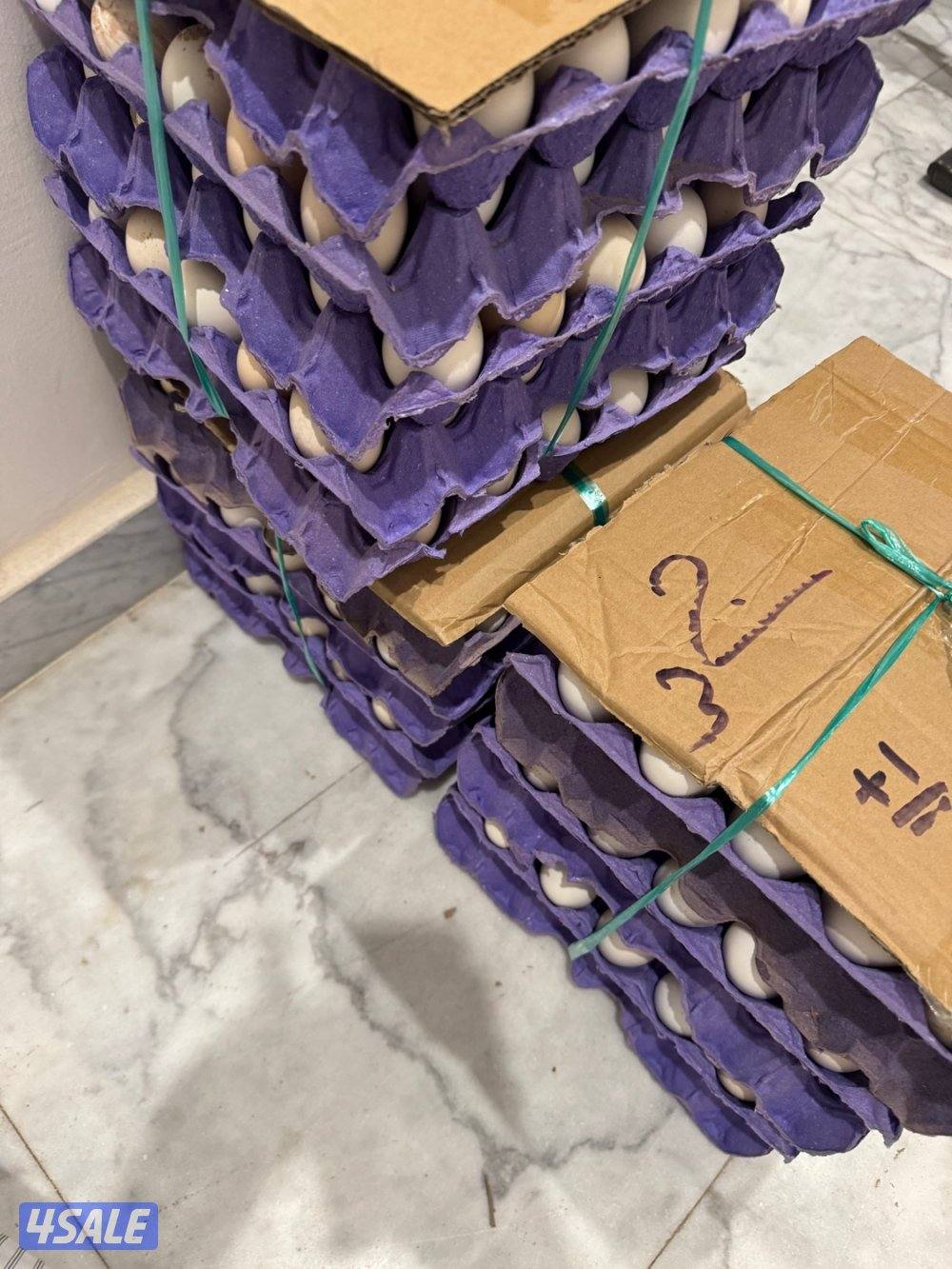 للبيع اطباق بيض شي طيب0