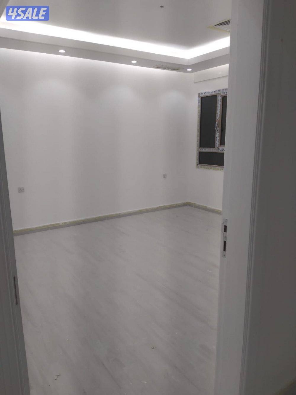 painter hindi india 🇮🇳5