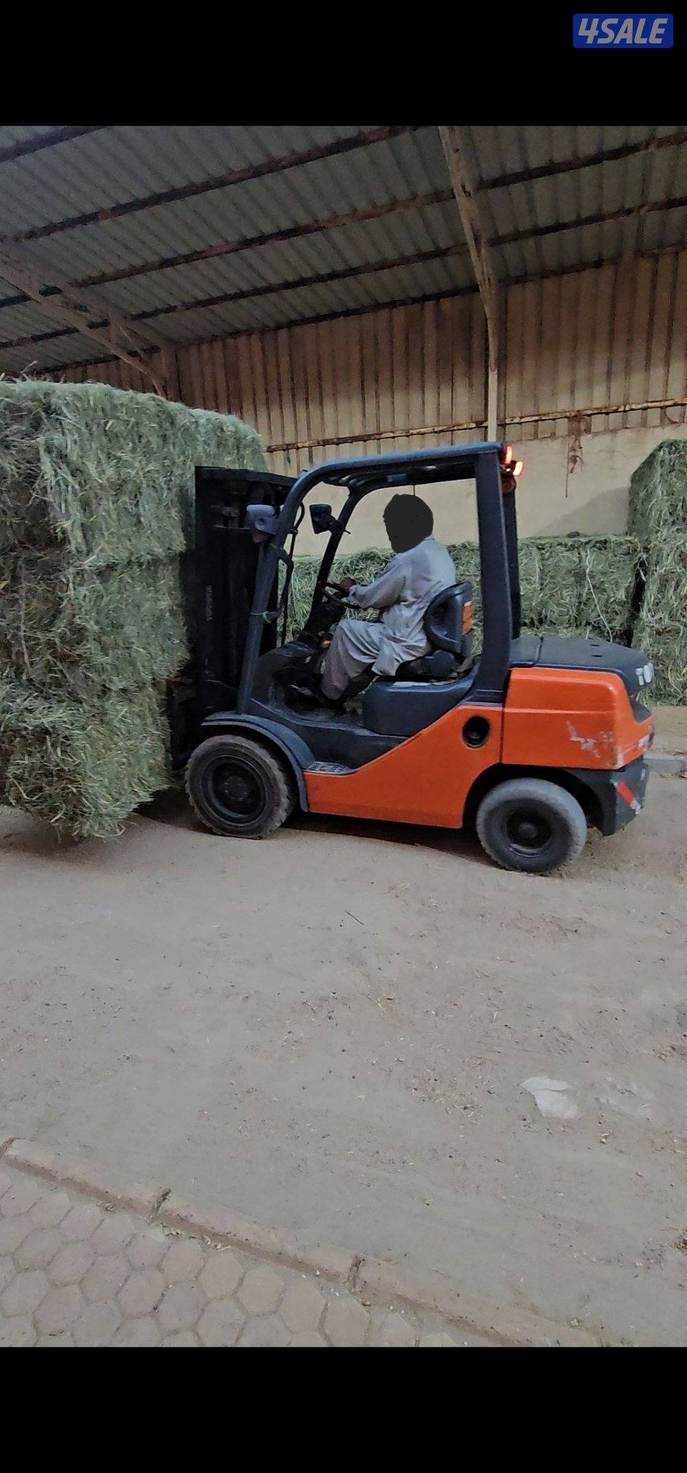 للبيع رودس باكستاني3