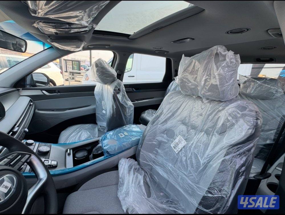 Hyundai Palisade 20257