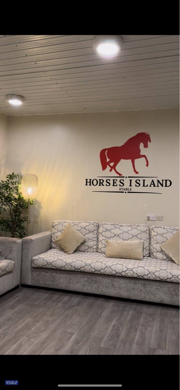 🐎مربط هورس ايلاند للخيل🐎4