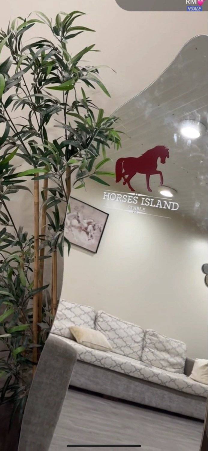 🐎مربط هورس ايلاند للخيل🐎6