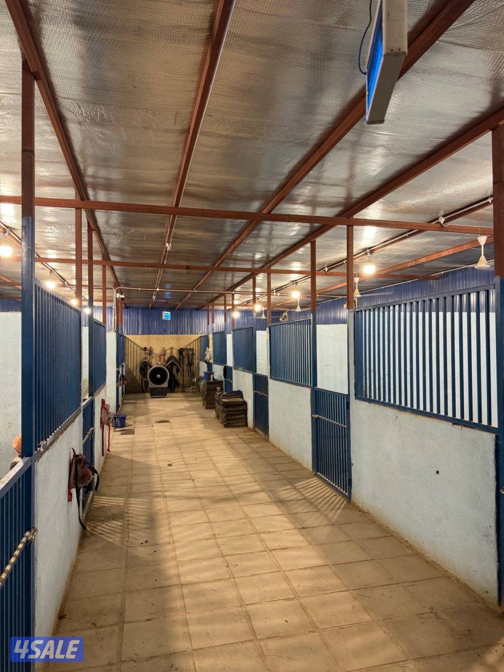 🎠⭐️🐎مربط السرحان🐎⭐️🎠1