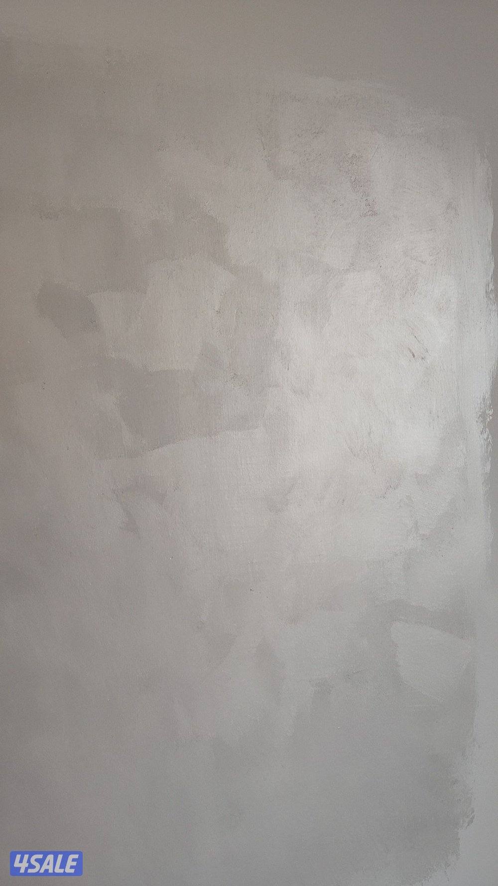 صباغ باكستانى سيد امتياز حسين2