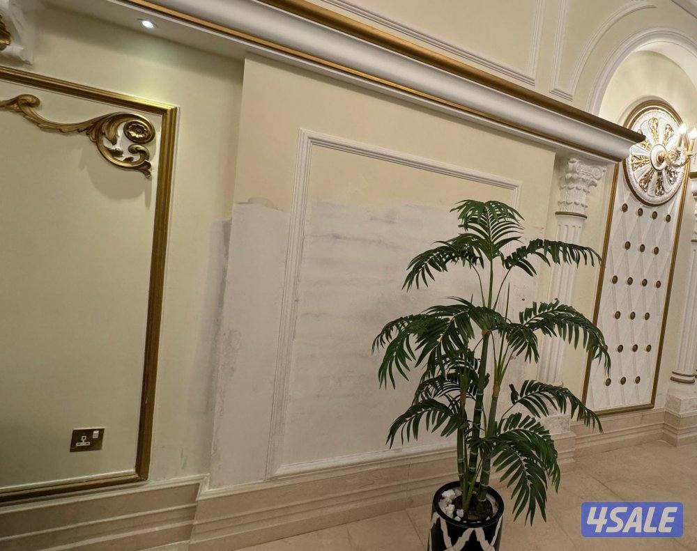 صباغ باكستانى سيد امتياز حسين3