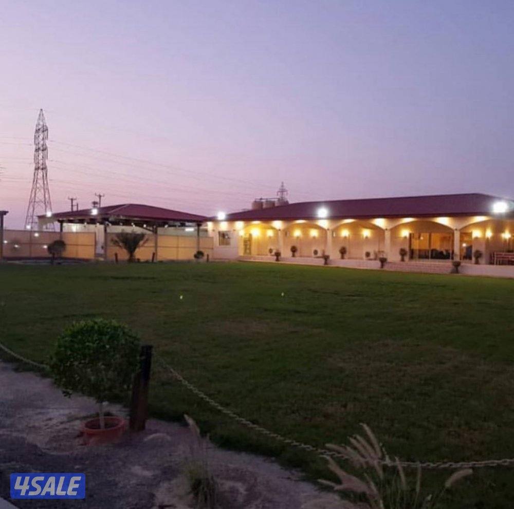 مزرعة العرين الوفرة4