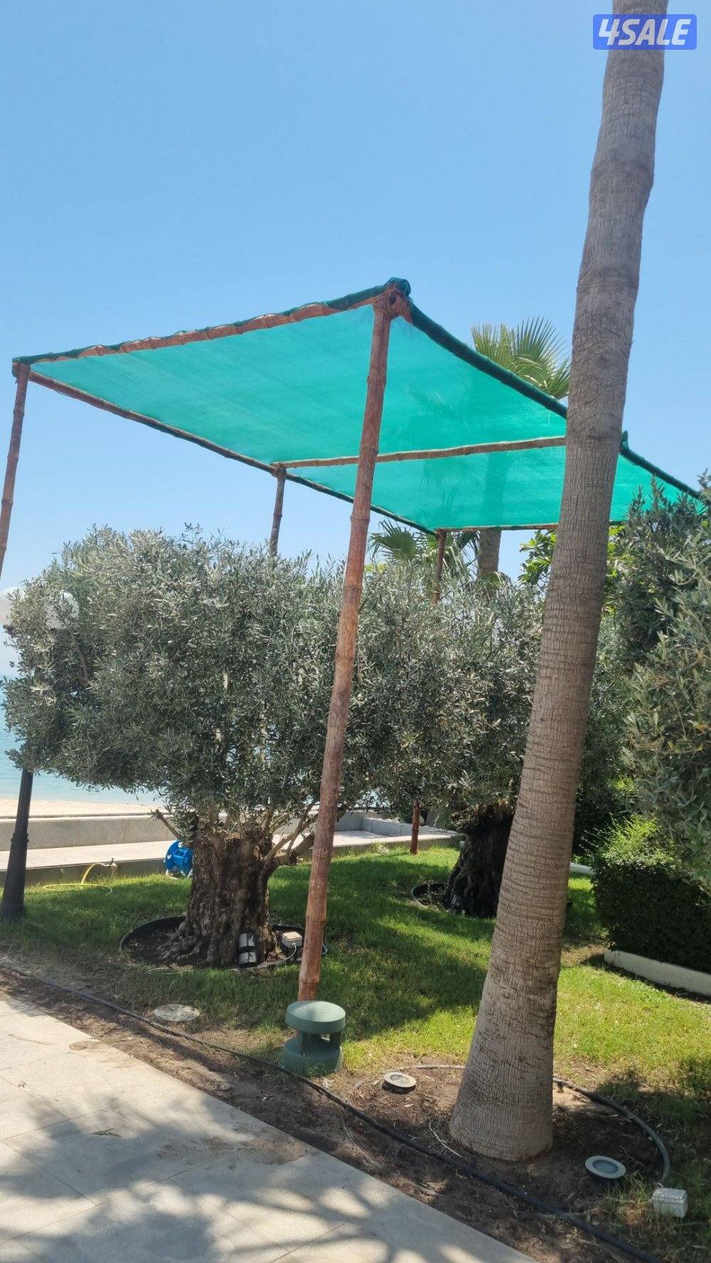 عریش کویت🇰🇼arish kuwait0