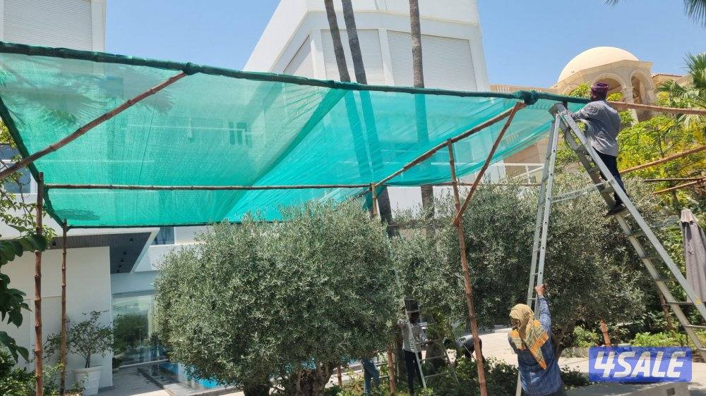 عریش کویت🇰🇼arish kuwait1