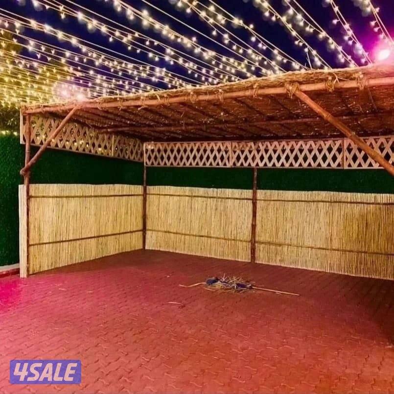 عریش کویت🇰🇼arish kuwait10