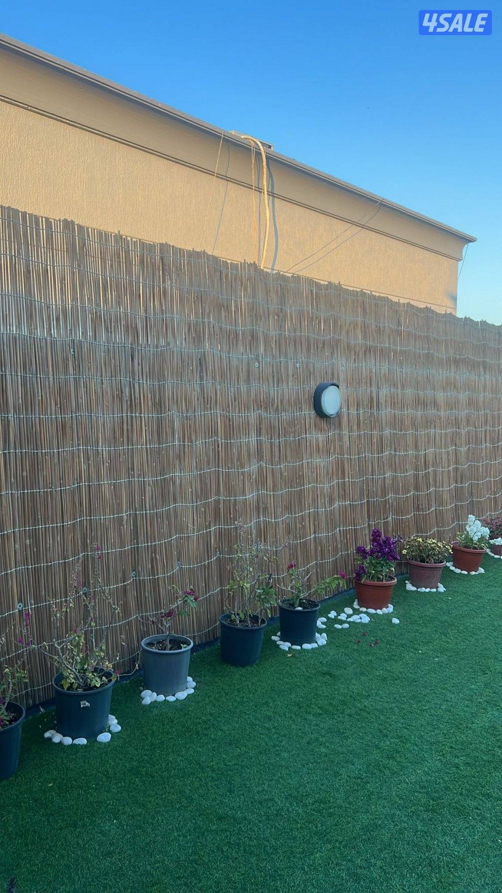 عریش کویت🇰🇼arish kuwait12