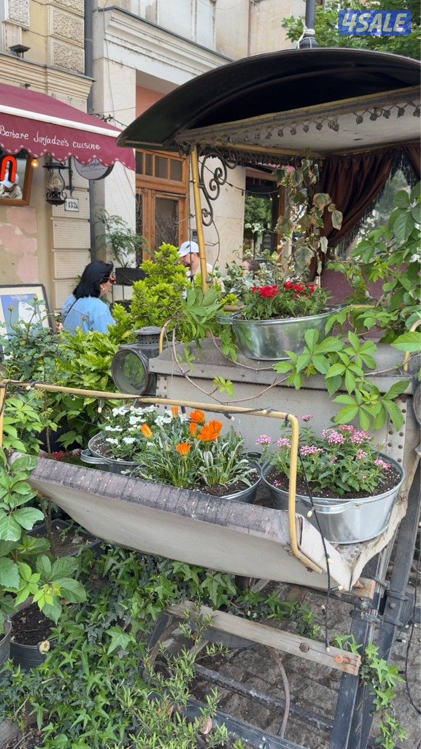 للبيع  او للتضمين محل ( خضروات وفواكه + بقاله )0