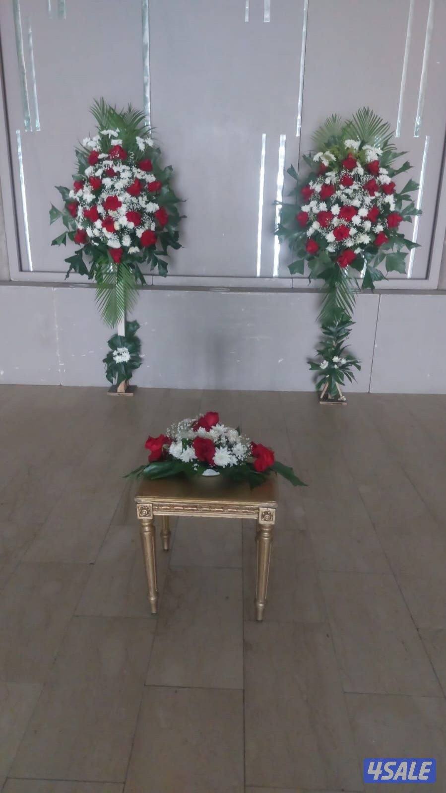 مصور ادم5
