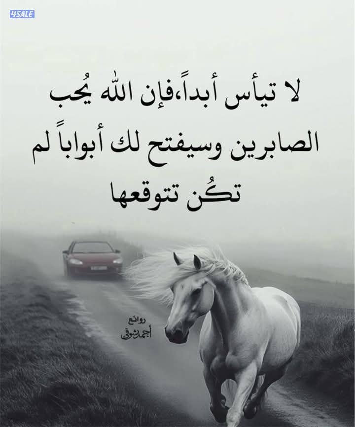 ابحث عن شغل حارس خبره بجميع اعمال الصيانه والتاجير0