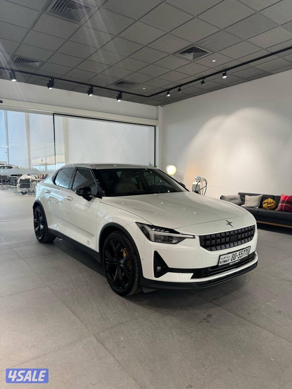 Polestar 2 dual motor with performance pack0