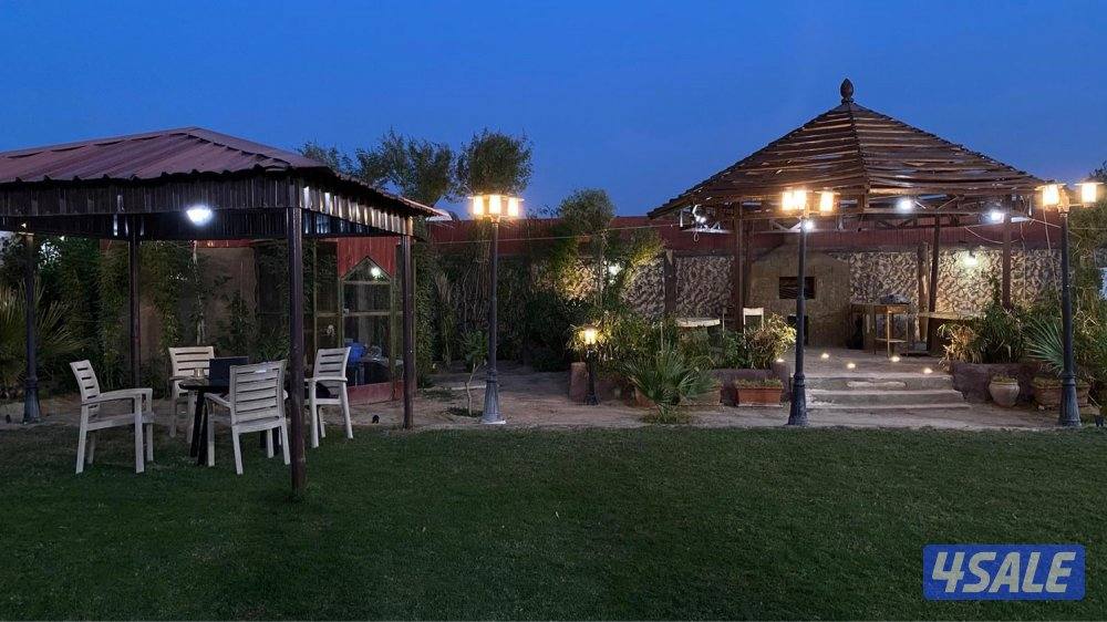 جاخور اب كبد5