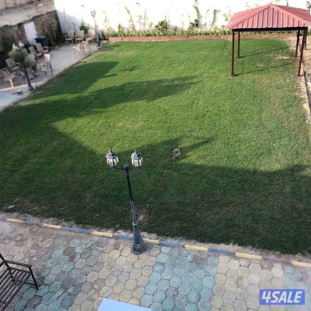 جاخور اب كبد7