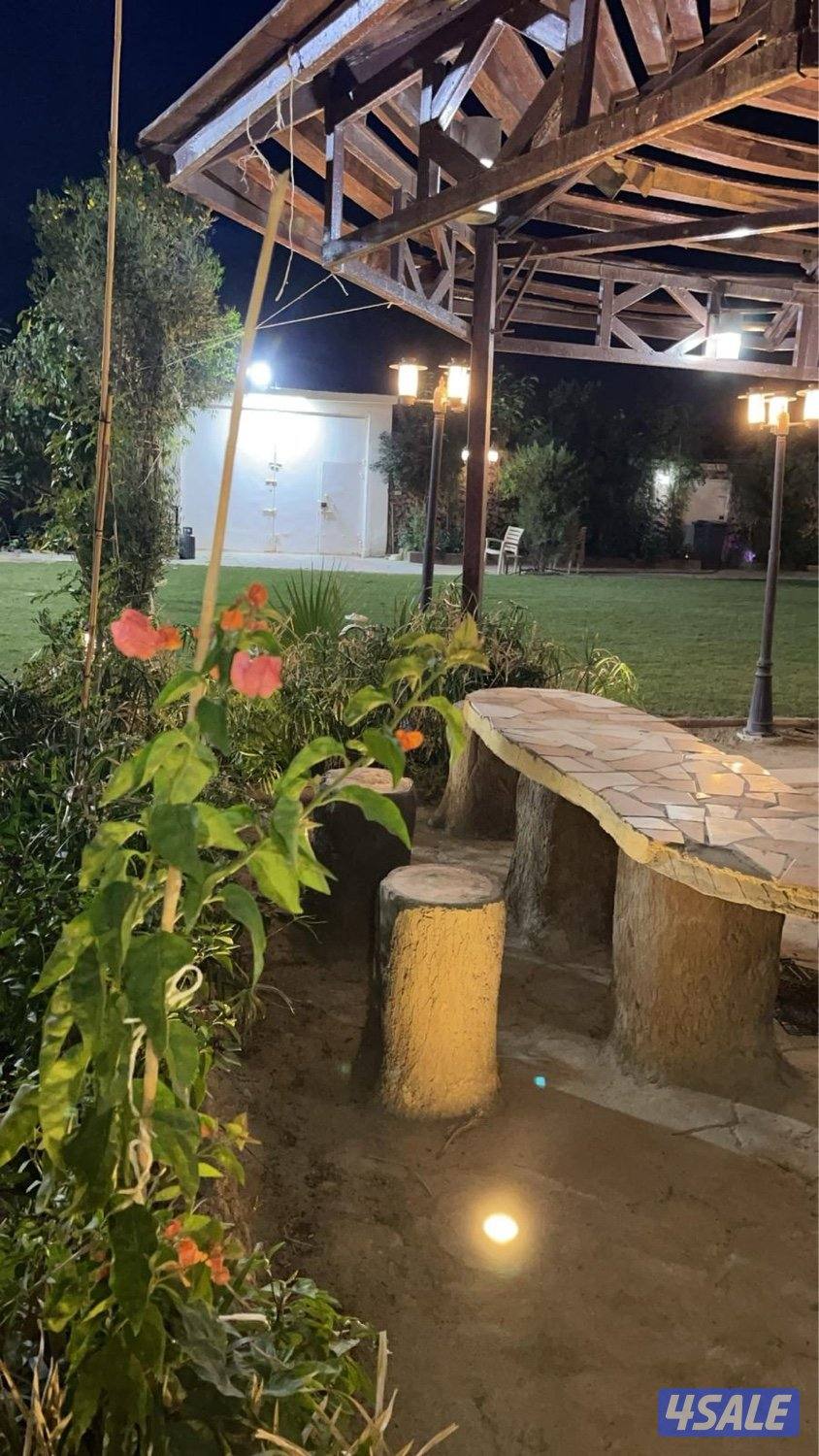 جاخور اب كبد6