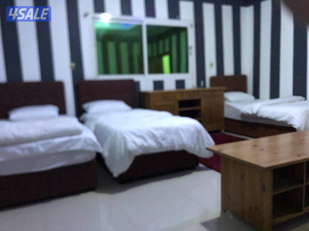 جاخور اب كبد9