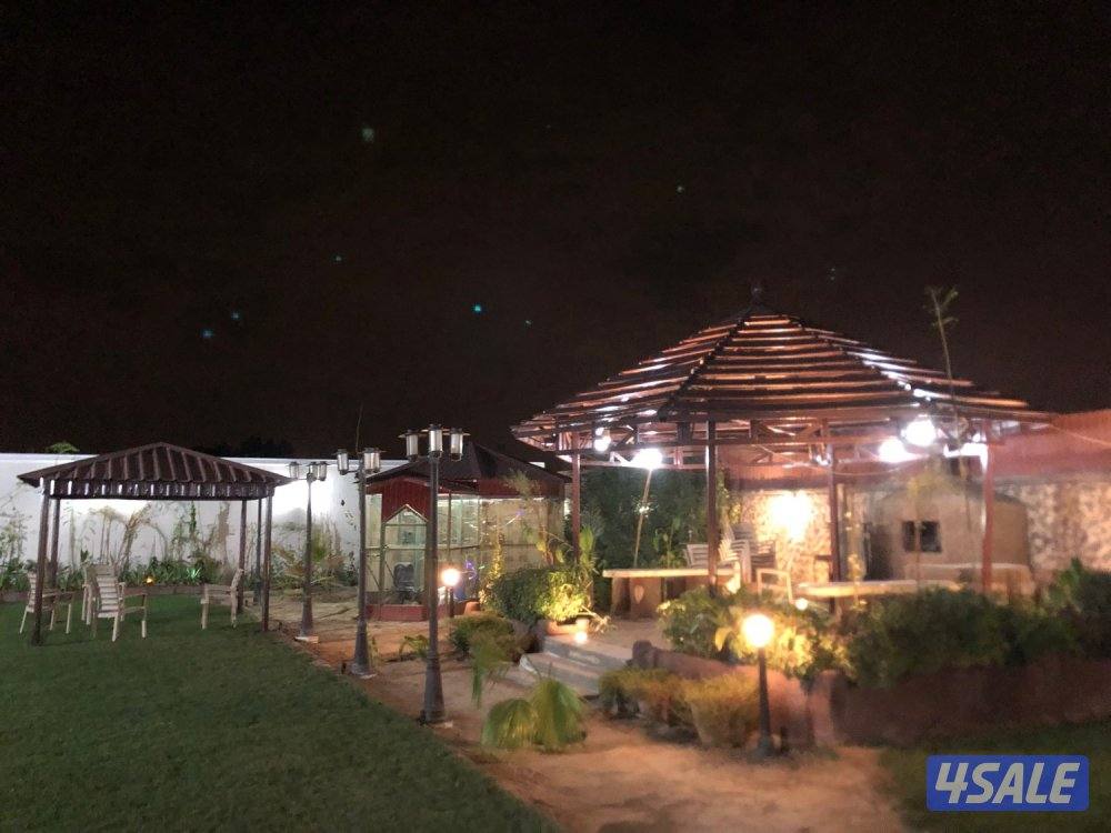 جاخور اب كبد11