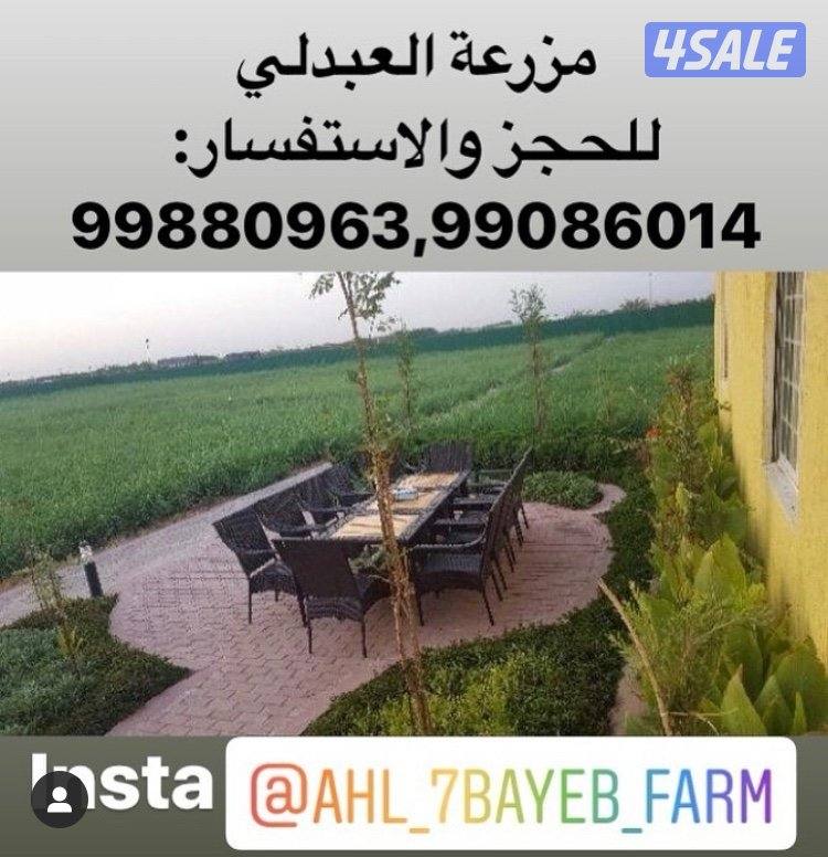 جاخور اب كبد13