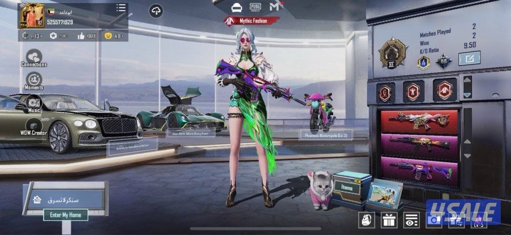 حساب ببجي للبيع lvl 82 فيه 119 مثيك8