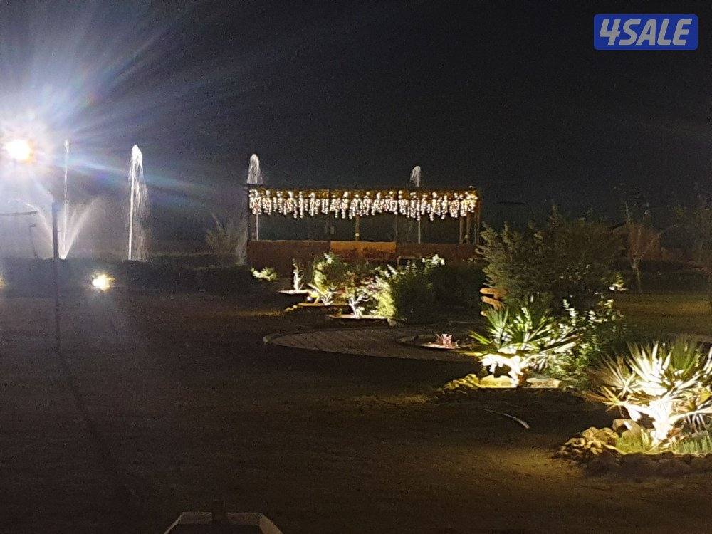 للايجار اليومي مزرعه بالعبدلي5