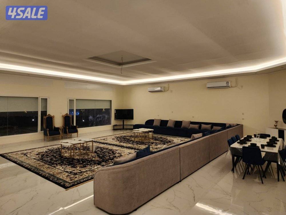 للايجار اليومي مزرعه بالعبدلي8