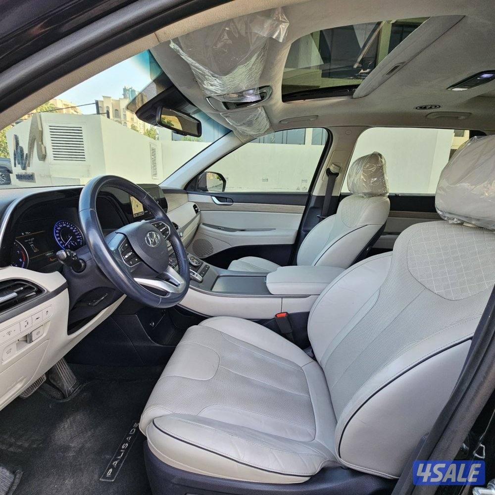 hyundai Palisade 20208