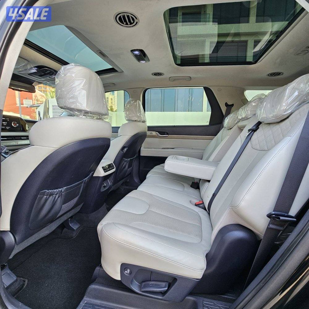 hyundai Palisade 20209