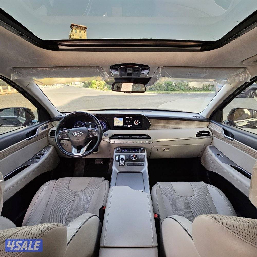 hyundai Palisade 202010