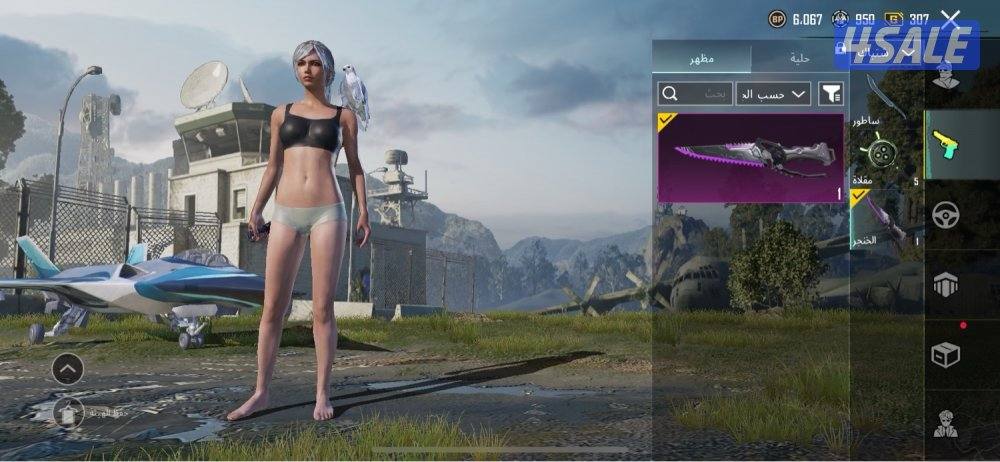 حساب ببجي إلي يبي يكلمني خاص و ما راح أقصر معاه2